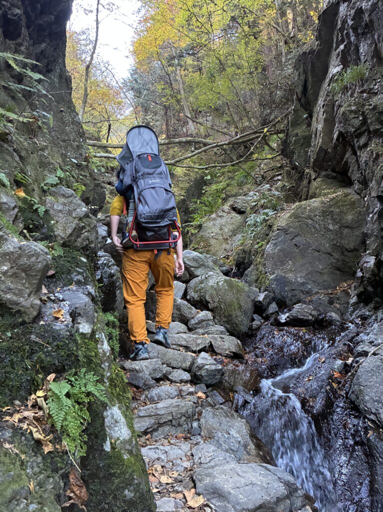 棒ノ折山　親子登山　登山道