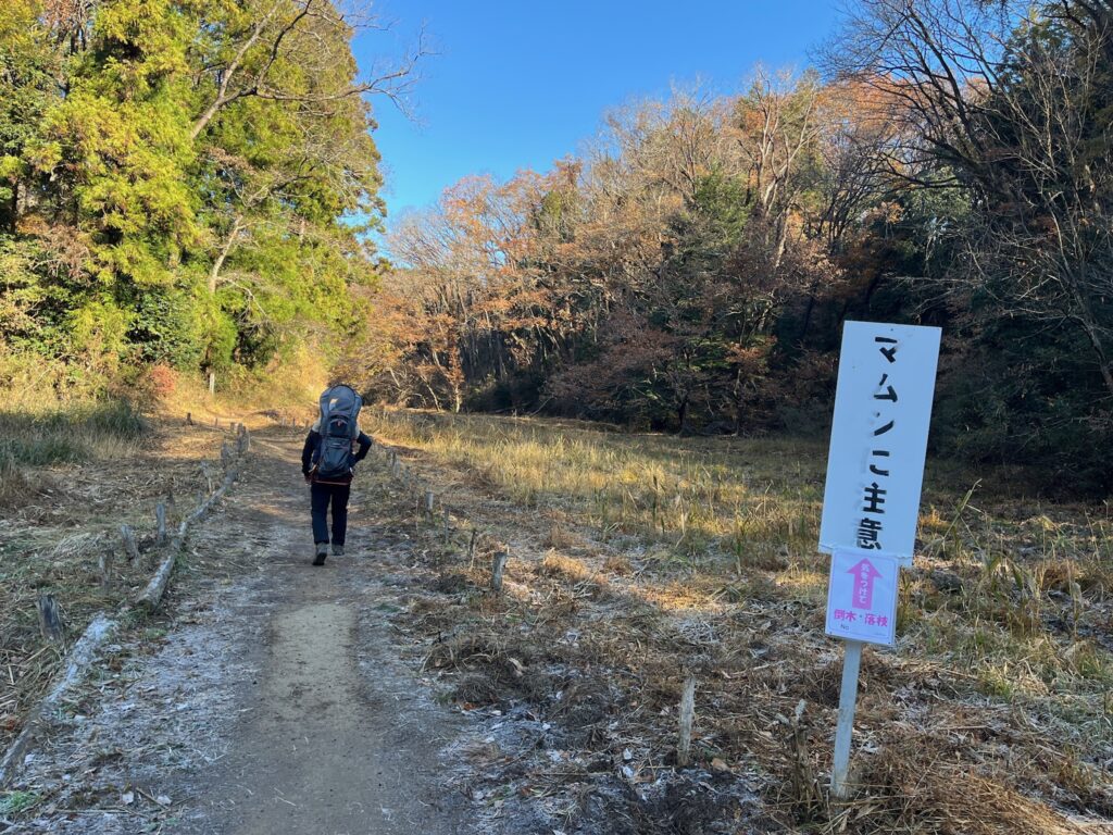 多峯主山　親子登山　登山道