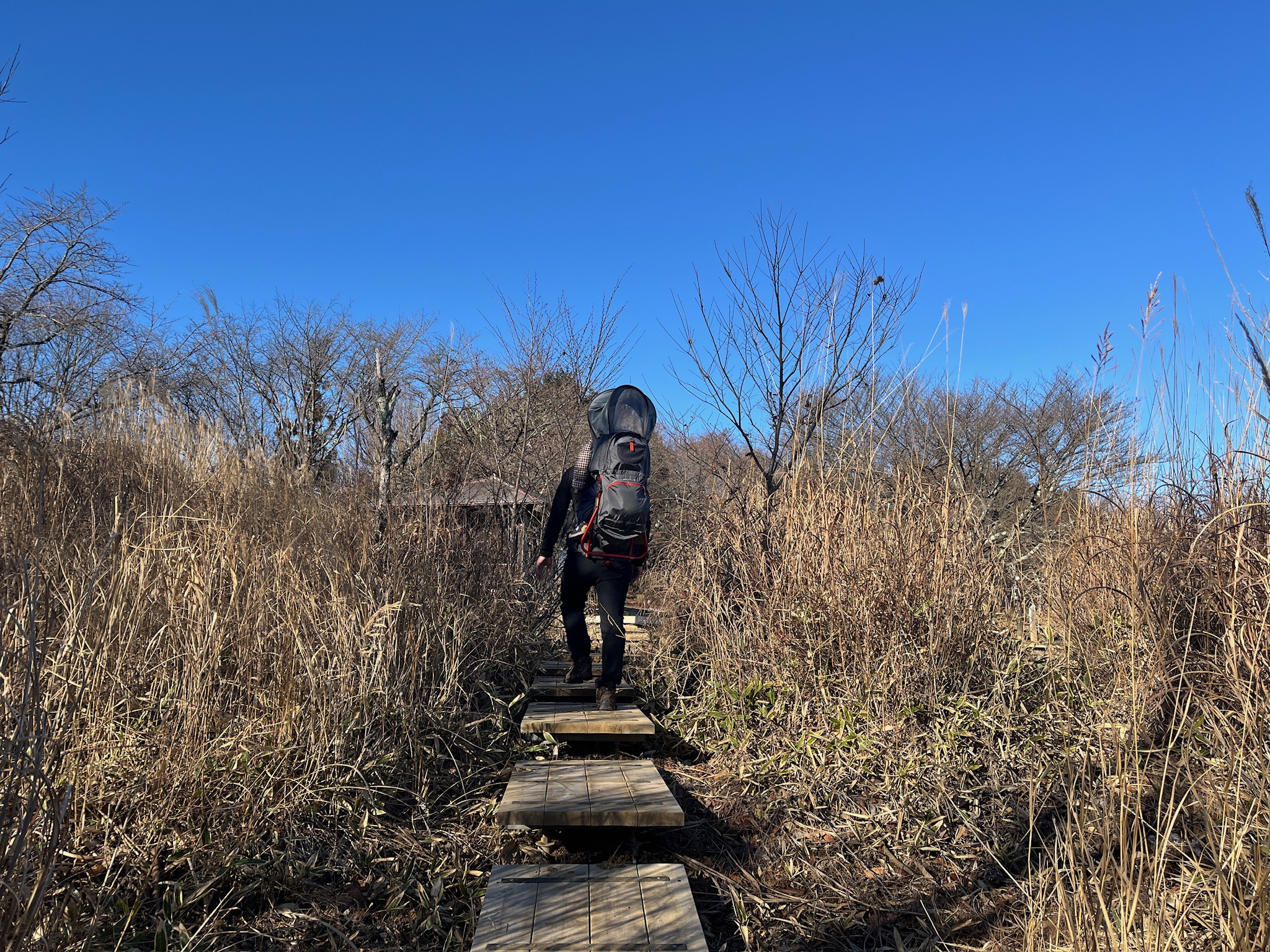 子連れ登山で訪れた棒ノ嶺（棒ノ折山）の登山風景