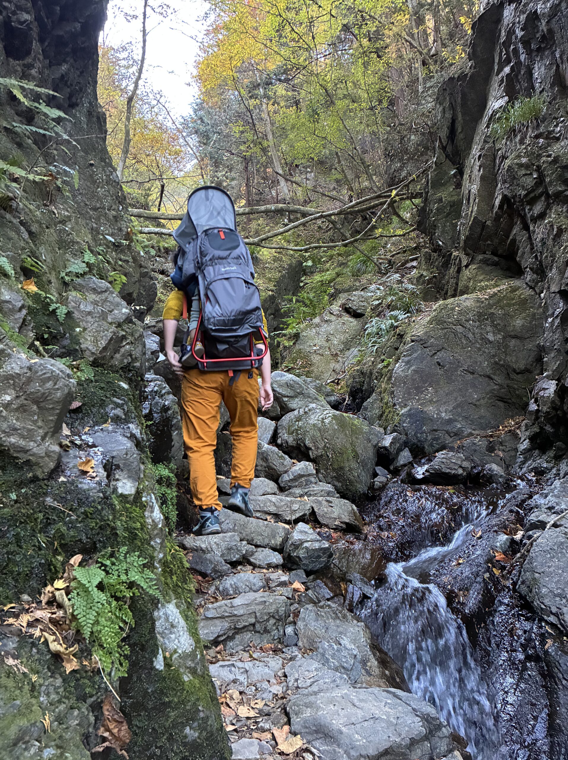 子連れ登山で使われるベビーキャリアの主要モデルを比較したイメージ