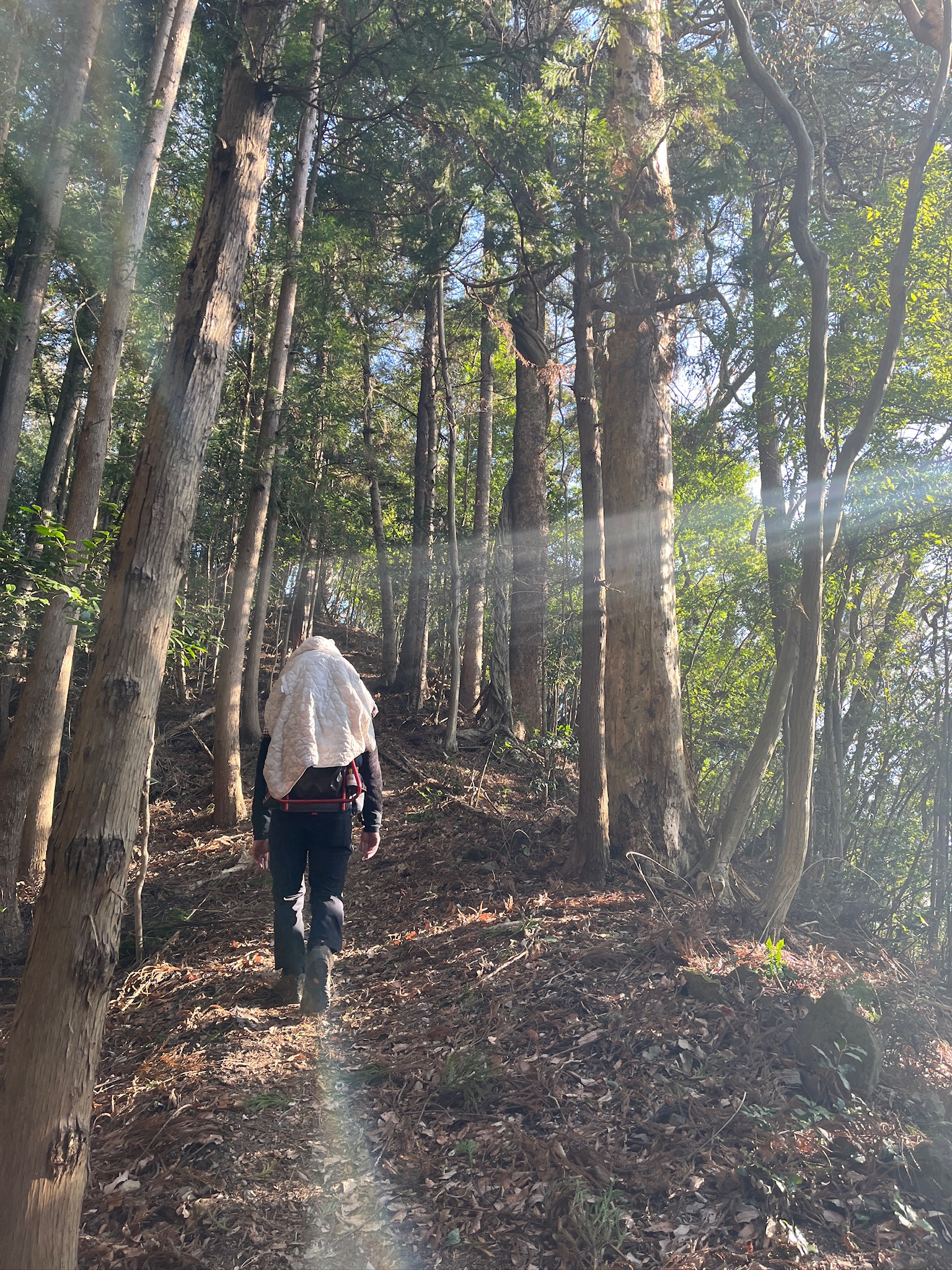 子連れ登山で歩く坂石山の登山ルート