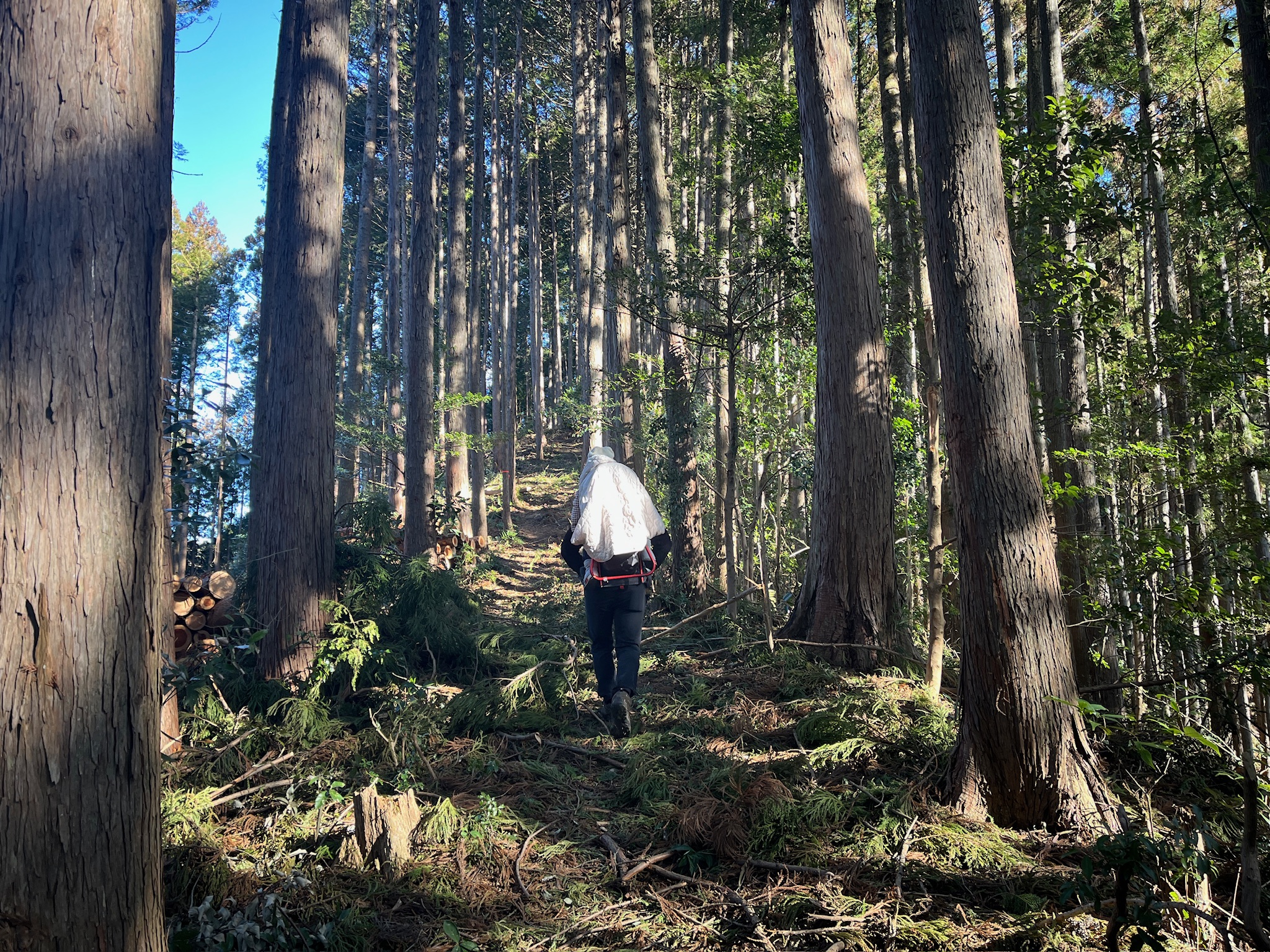子連れ登山で秋葉山に登る写真