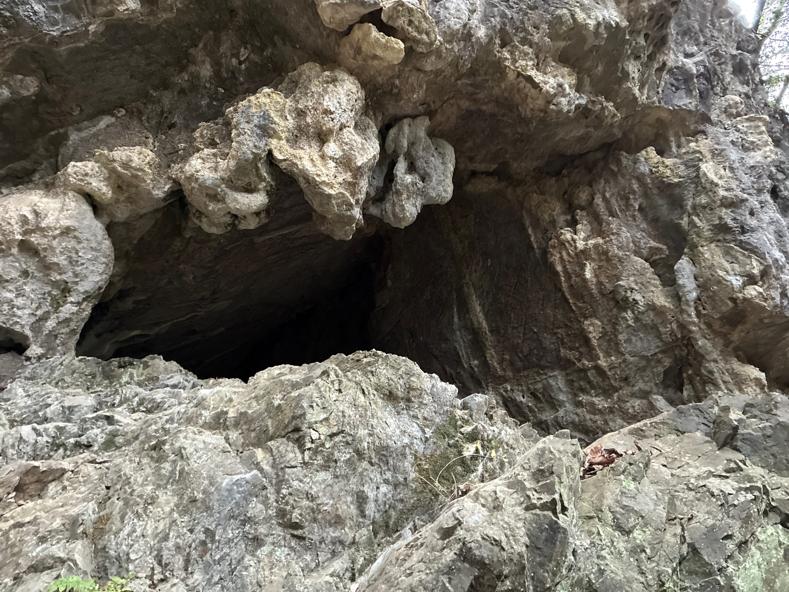 尾須沢鍾乳洞の写真