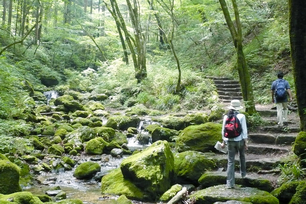 Mount Mitake rock garden trail with stream
