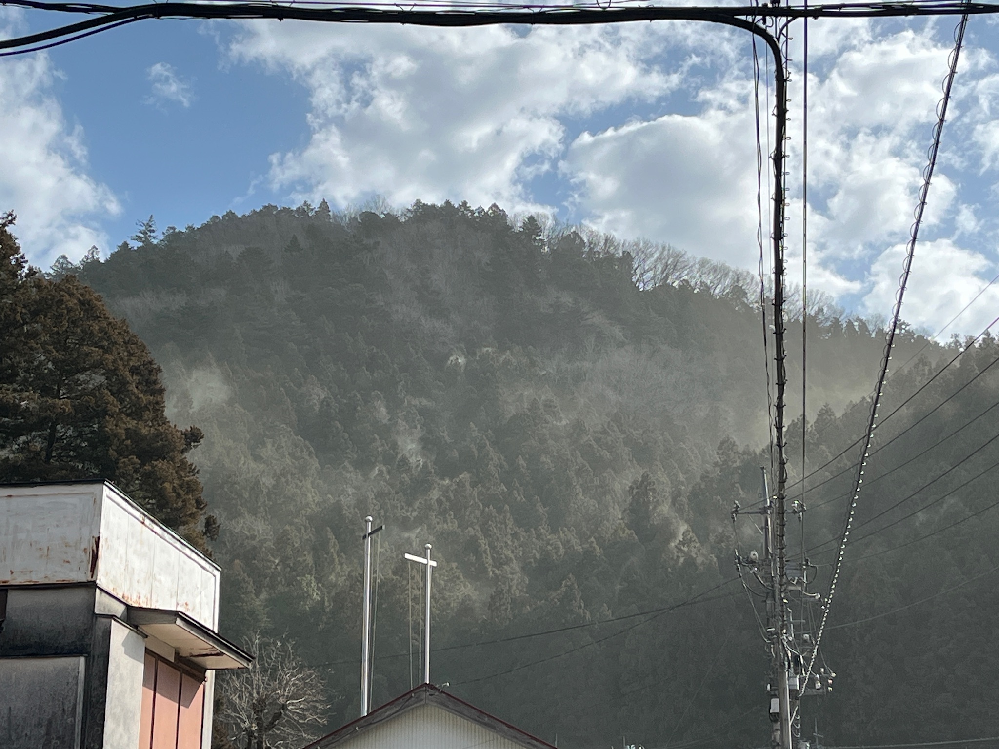 花粉のわかる写真