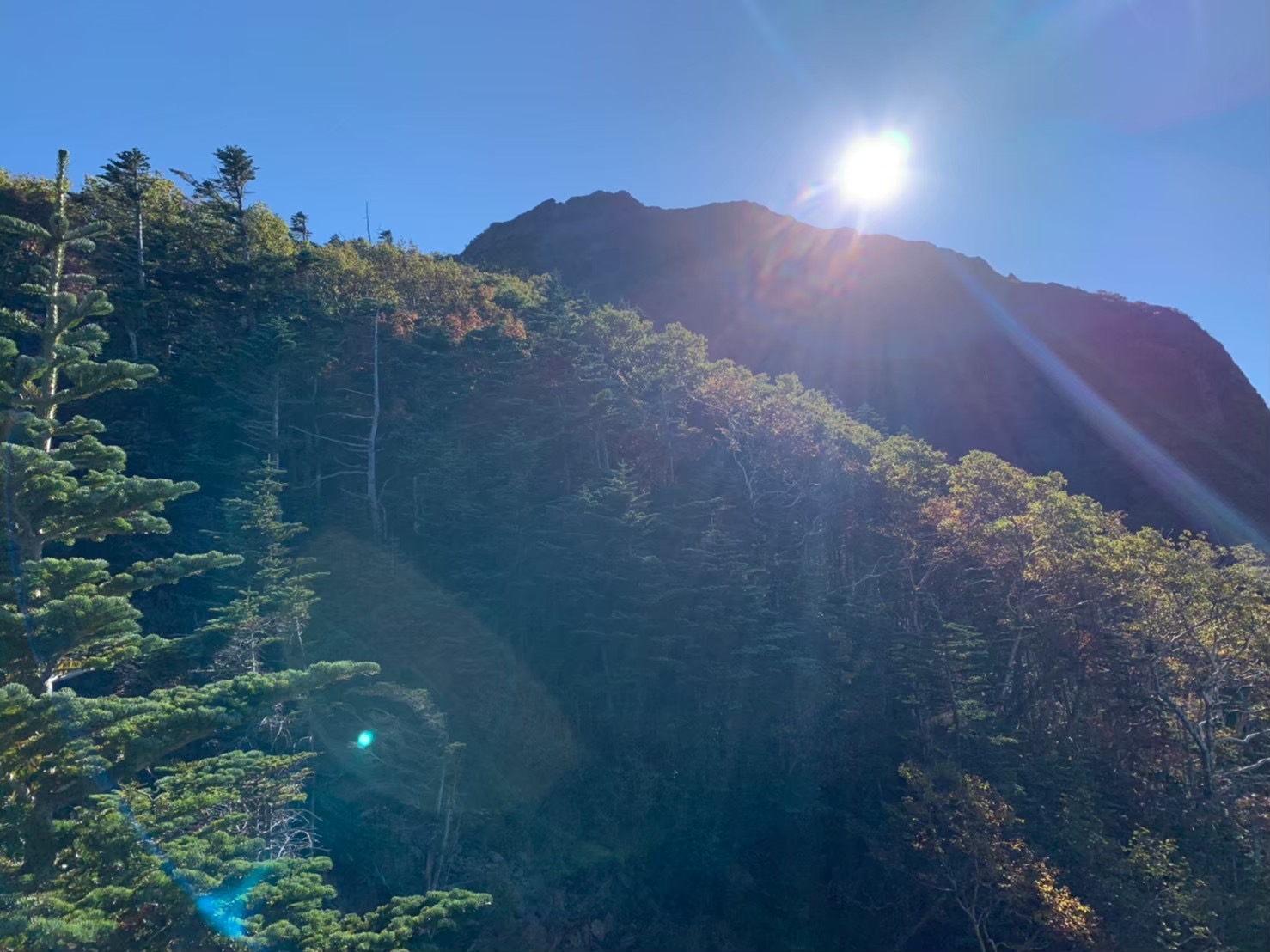日差しの強い山の写真