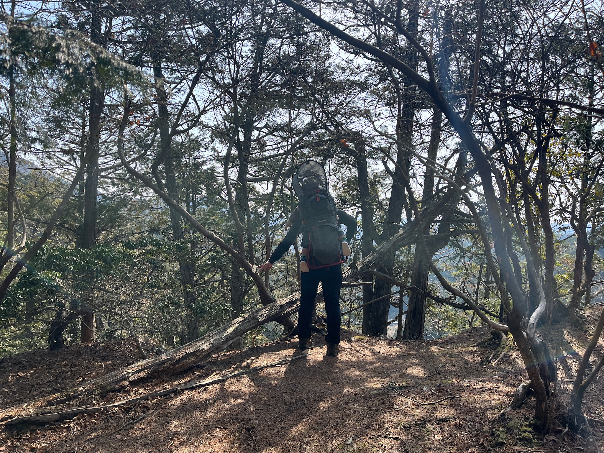 高岩山登頂の写真