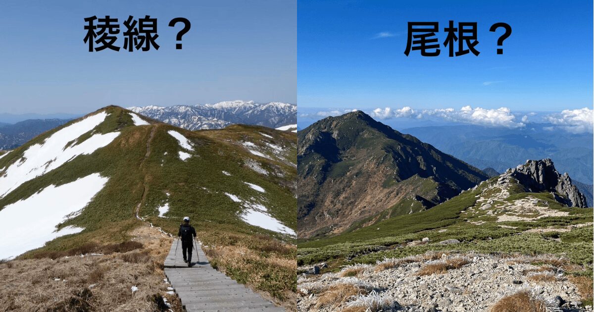 稜線と尾根が分かる登山道の風景