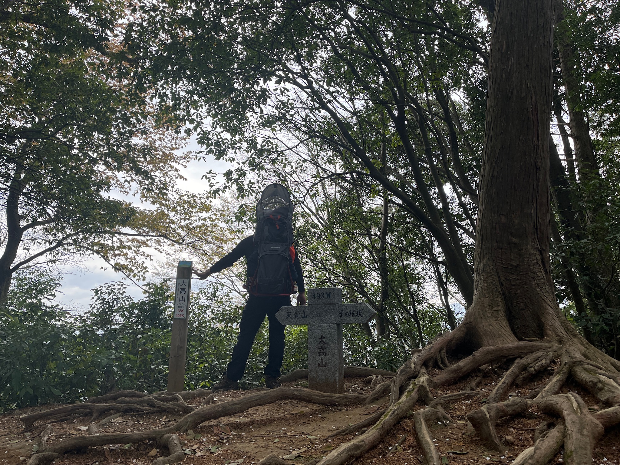 大高山山頂の写真