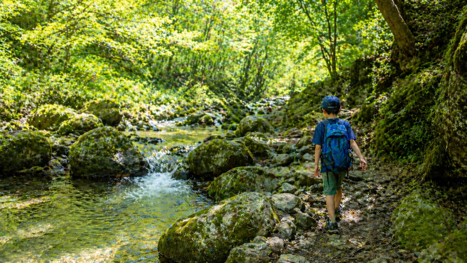 御岳山ロックガーデンの苔むした岩と渓流