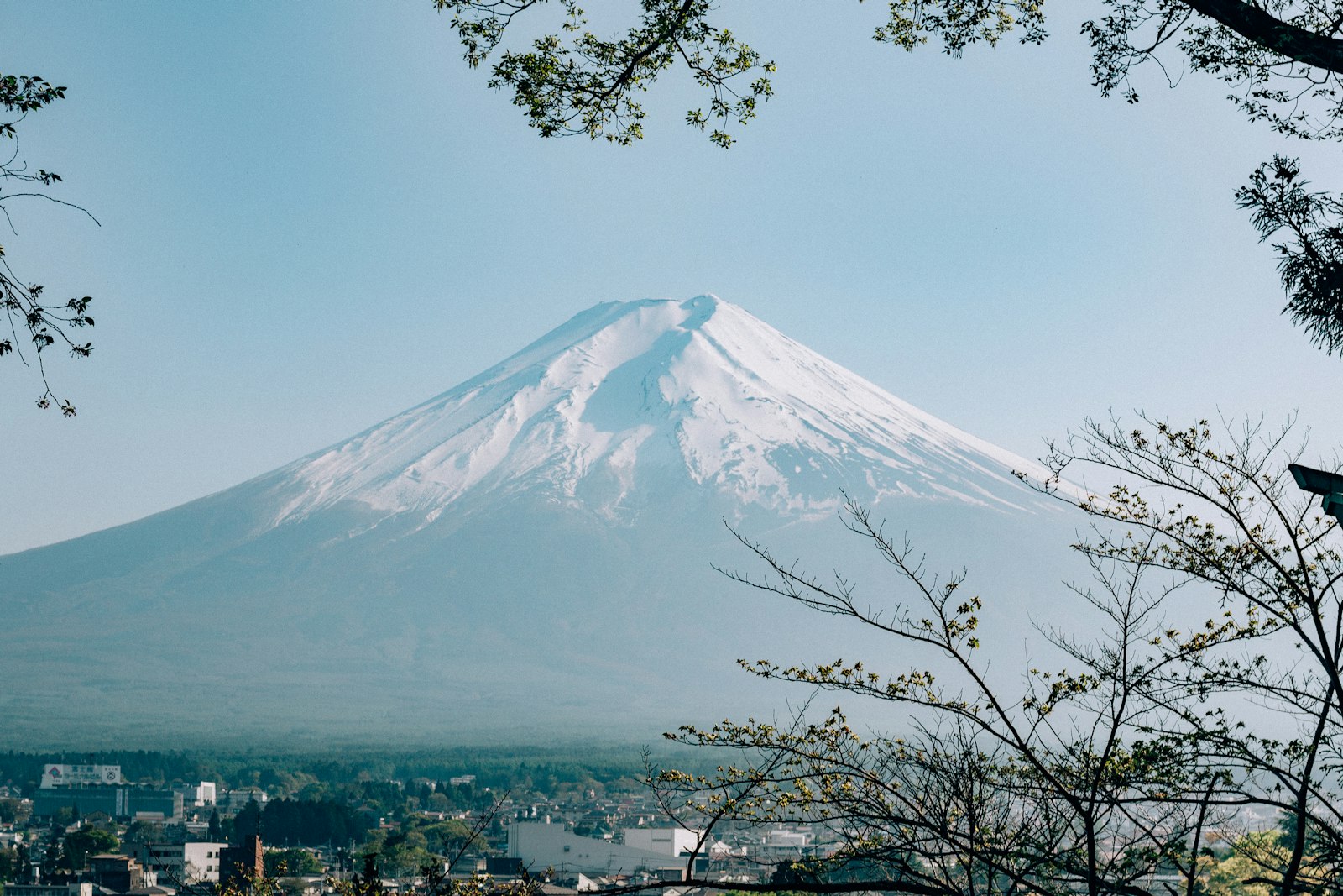 富士山と夏の登山道