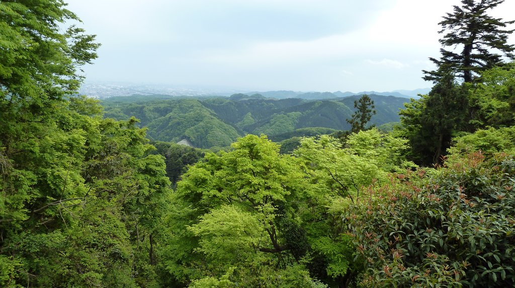 高尾山から望む新緑の山並み