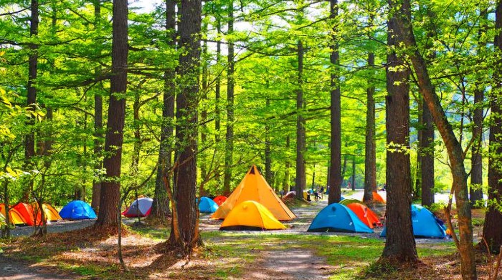 上高地小梨平キャンプ場の林間に色とりどりのテントが並ぶ風景