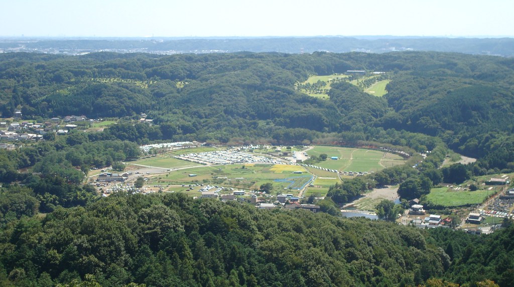 日和田山から見おろした巾着田の景色