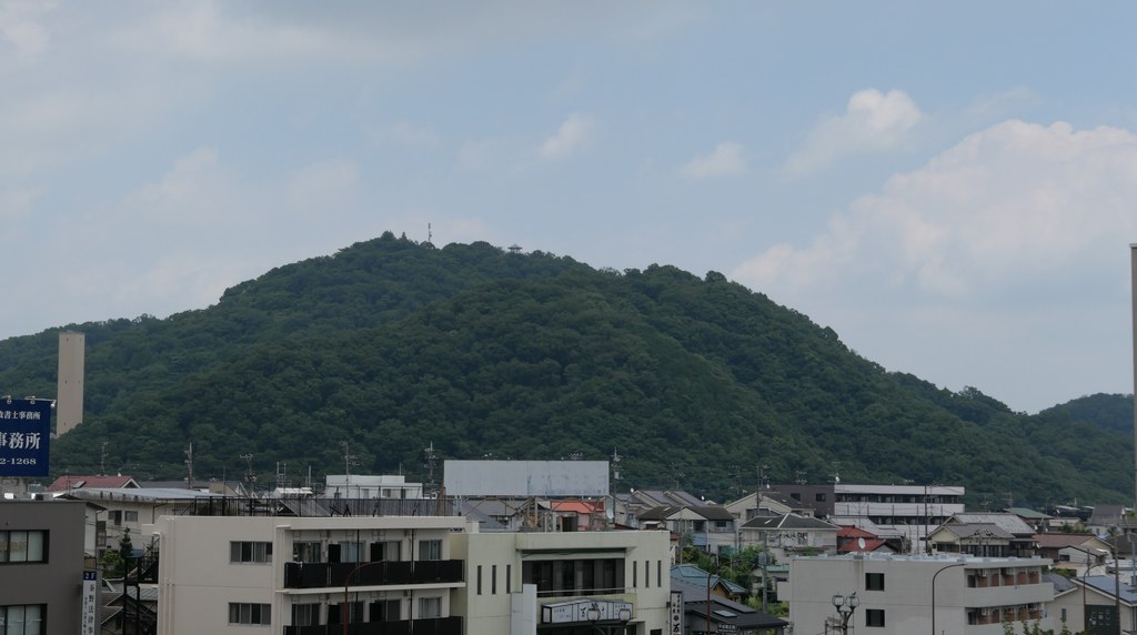 街なかからのぞむ権現山の緑の山影
