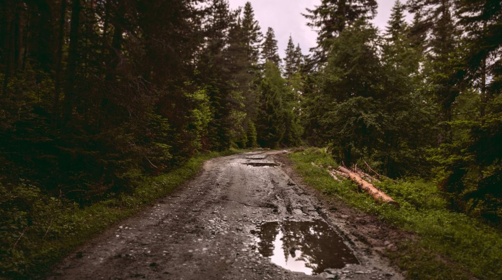 ぬかるんで水たまりのできた山の道