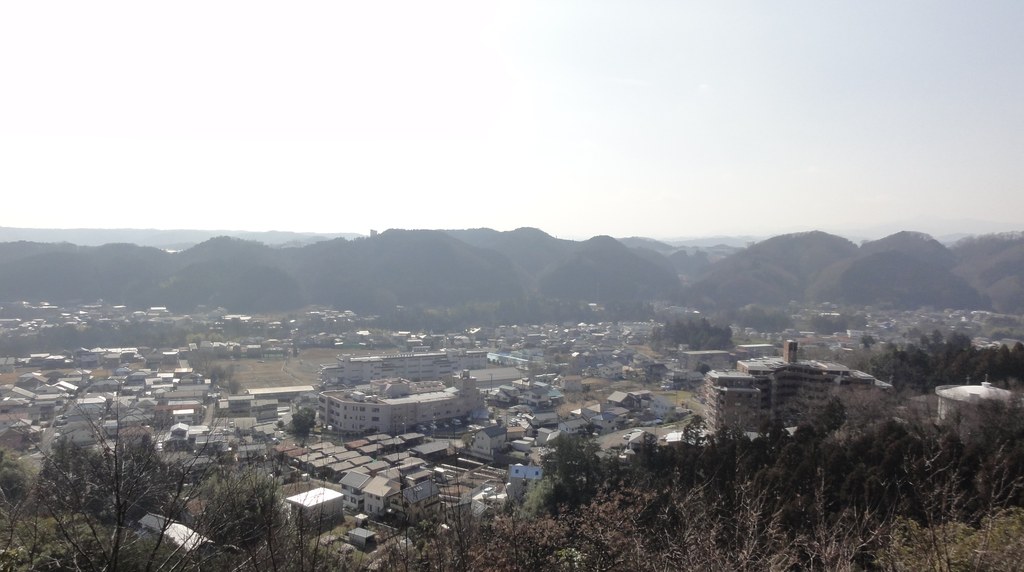 天覧山から見おろした飯能の街並み