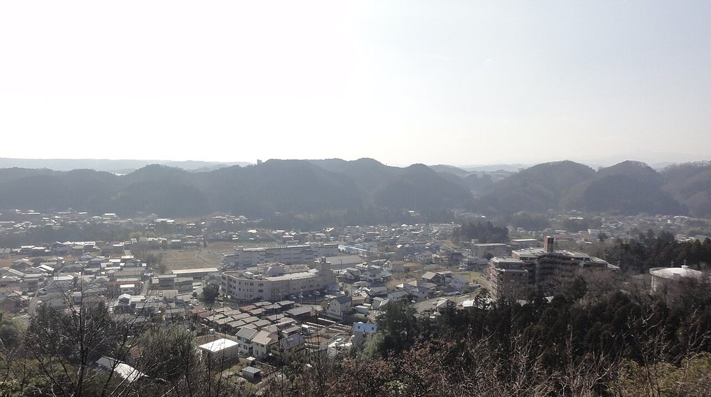 飯能の低山・天覧山の展望台から望む飯能市街