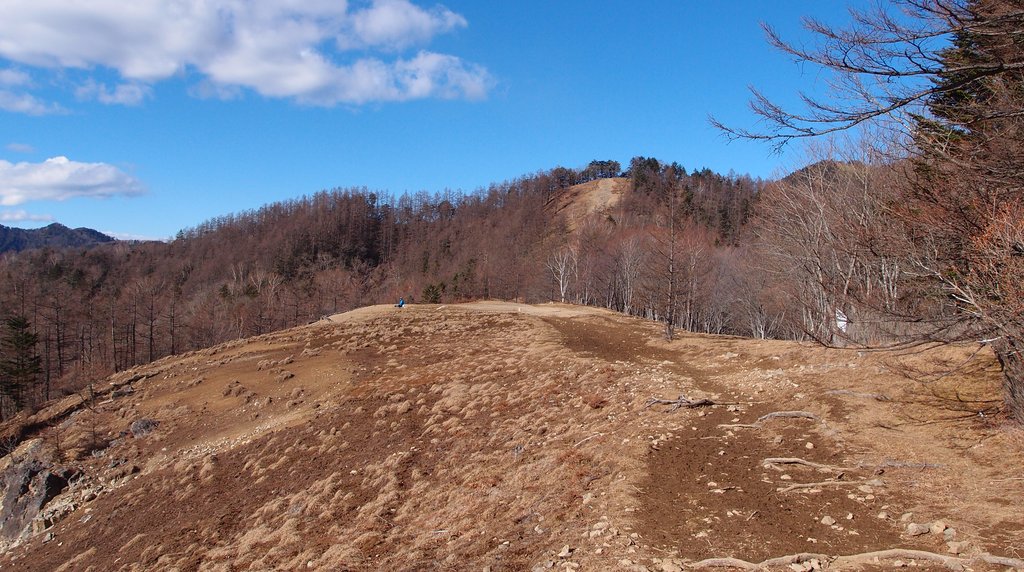 奥多摩の稜線に続く登山道