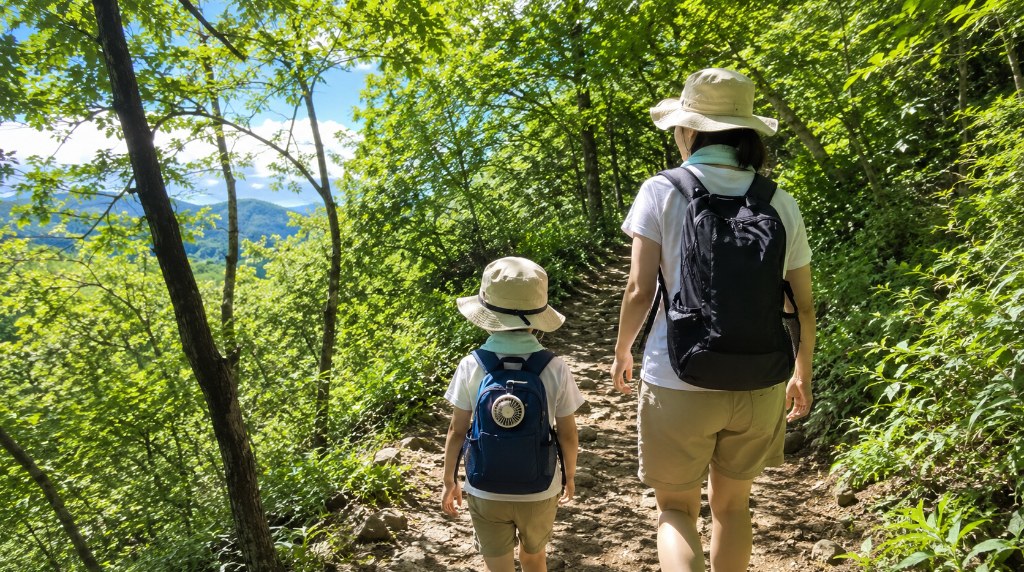 夏の登山道を歩く親子の後ろ姿
