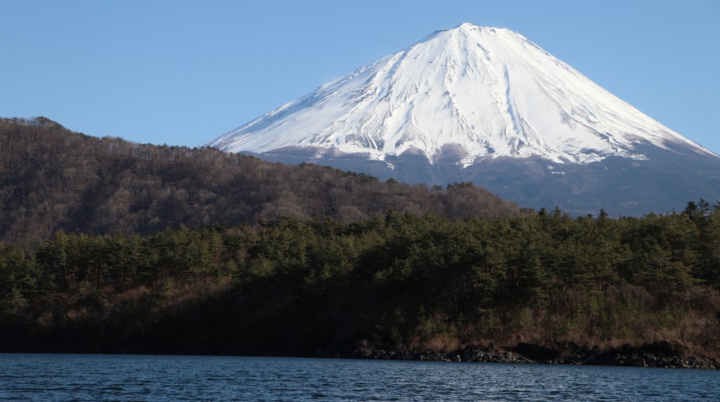 西湖の湖畔から望む富士山