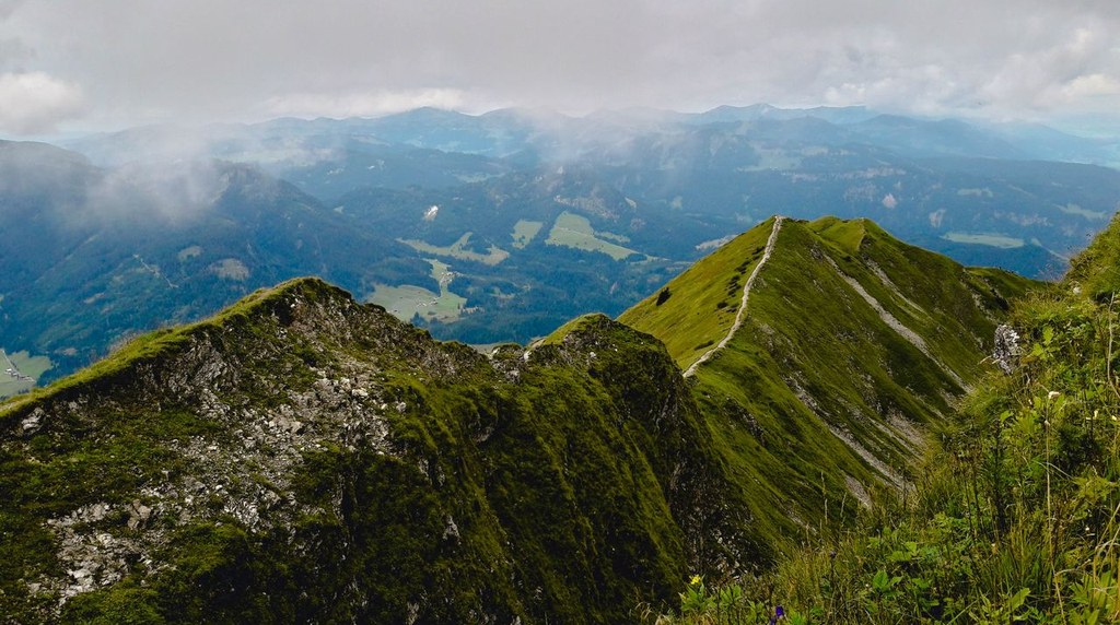 緑の稜線が広がる山の風景