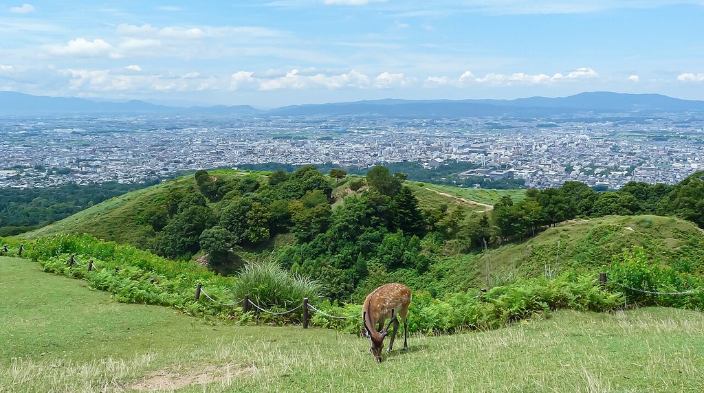 若草山の山上から望む奈良の街並みと鹿