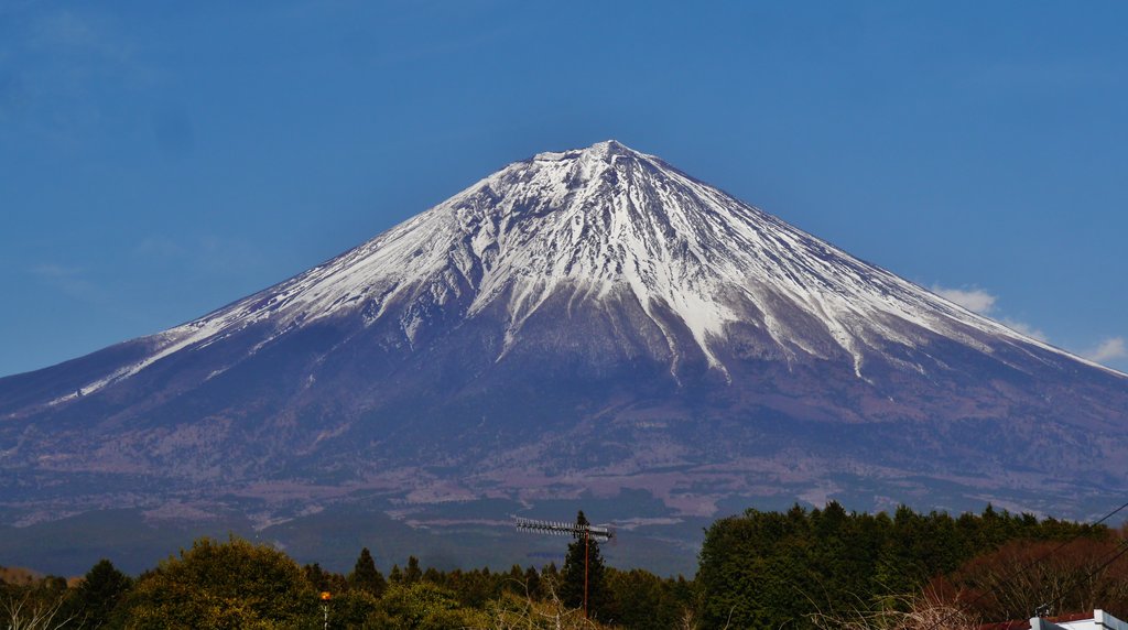 青空の下にそびえる夏の富士山
