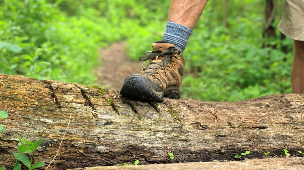 倒木をしっかりグリップする登山靴