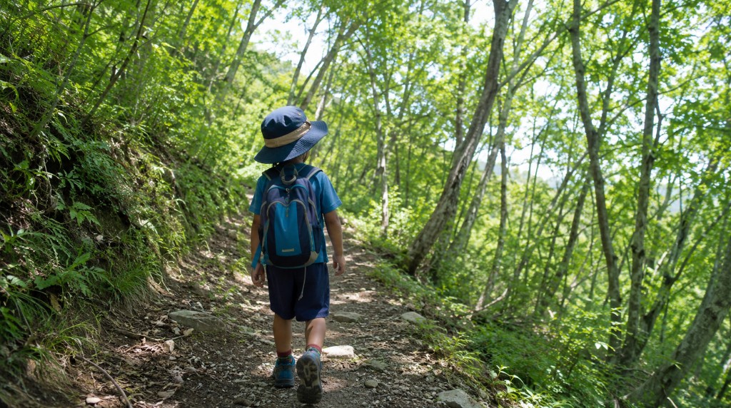 夏の低山を半袖と帽子で歩く子ども