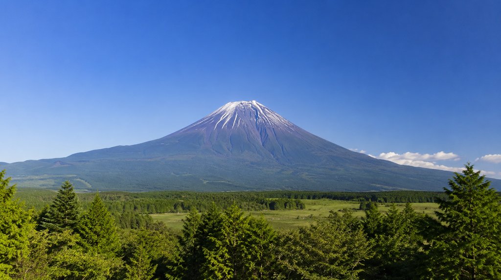 夏の富士山と緑の裾野
