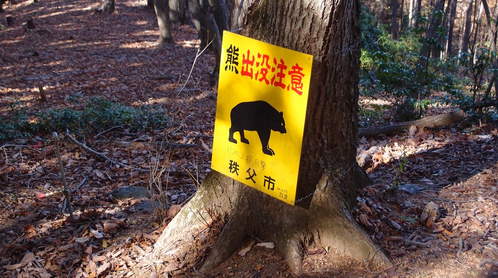 登山道の木に取り付けられたクマ出没注意の看板