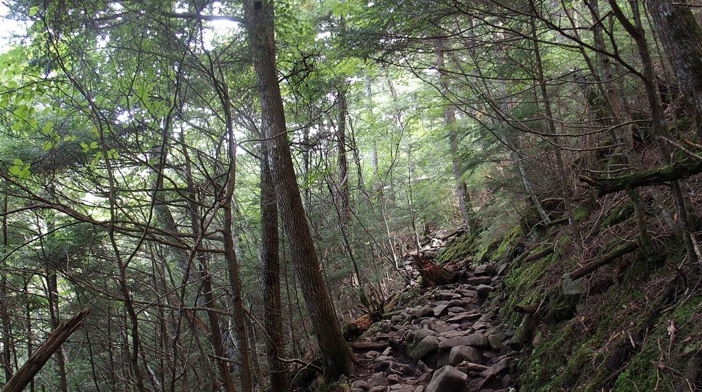 富士見平小屋から天鳥川へ向かう瑞牆山の登山道。石が積み重なった道
