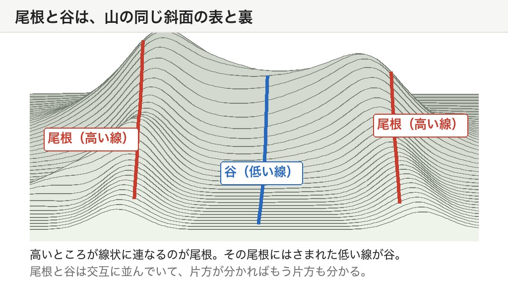 山を斜めから見た図。高いところが連なる尾根と、そのあいだの低い谷