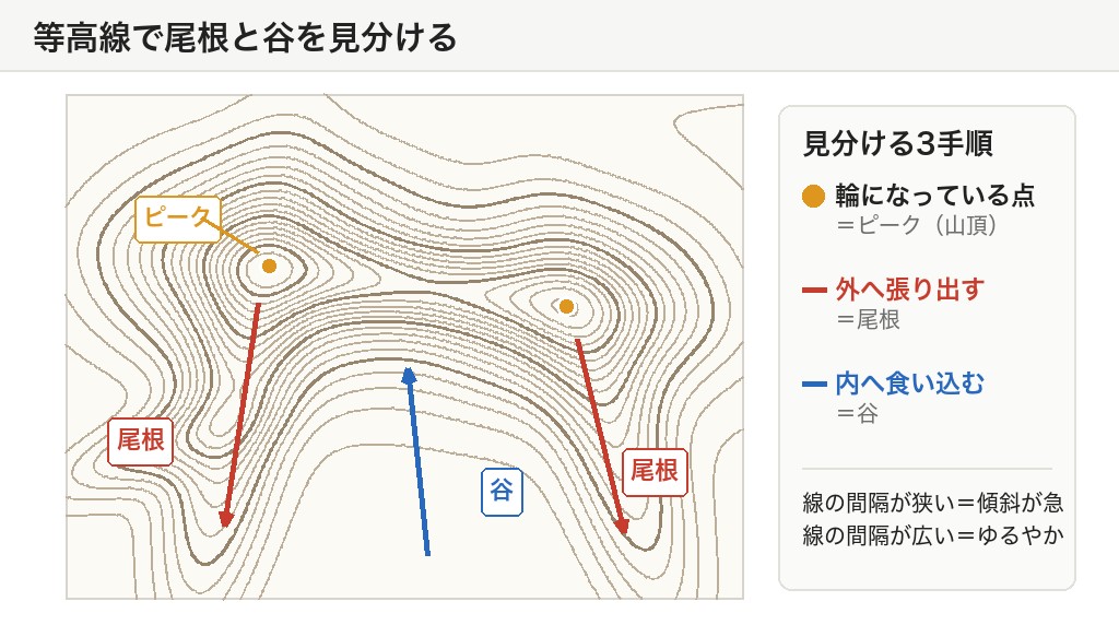 等高線図で、ピークから外へ張り出す尾根と内へ食い込む谷を色分けした図