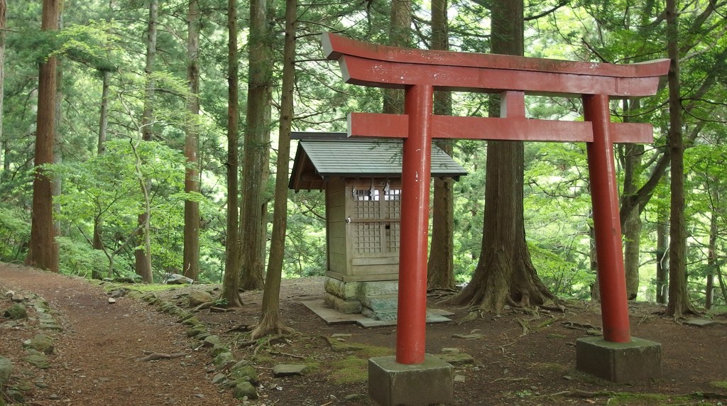 大山の阿夫利神社へ向かう杉林の登山道と鳥居