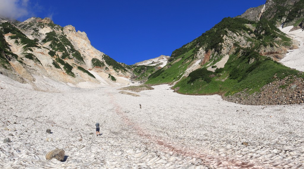 白馬大雪渓を登る登山者と雪面の紅殻の目印