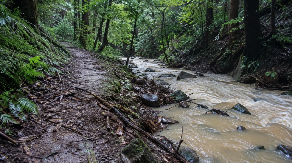 大雨のあとに増水して濁った沢と、泥や枝が散らばった登山道