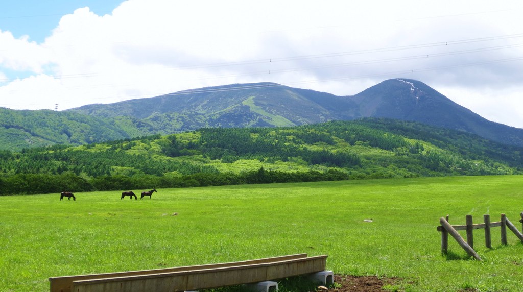 蓼科第二牧場の草地と、その奥に立つ蓼科山
