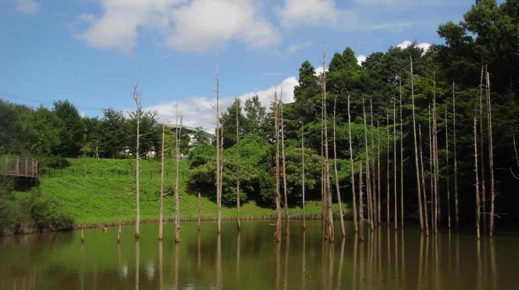 小山内裏公園の大田切池