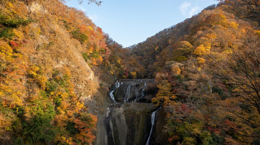 紅葉に囲まれた袋田の滝の全景