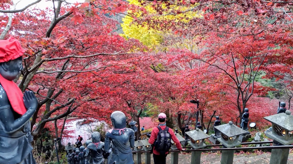 紅葉に覆われた大山寺の石段