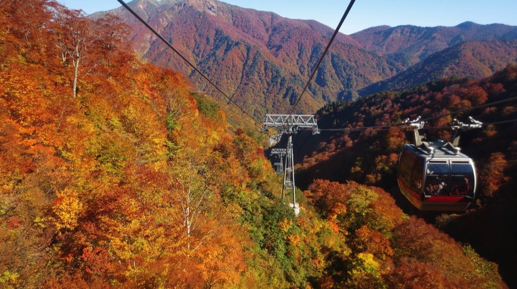 紅葉の谷を渡る谷川岳ロープウェイのゴンドラ