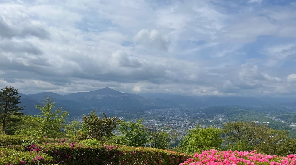 ピンクのツツジと秩父の山並み