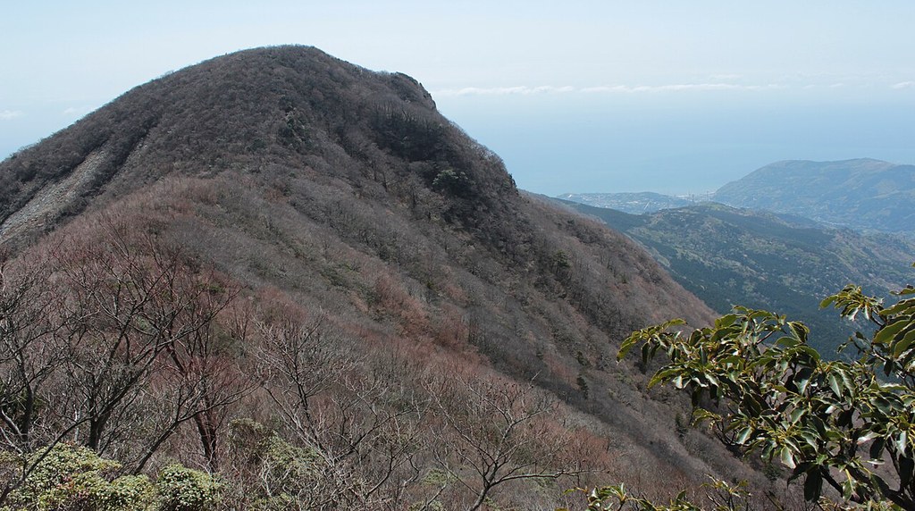 葉を落とした木々に覆われた万二郎岳と、右奥に見える伊豆の海
