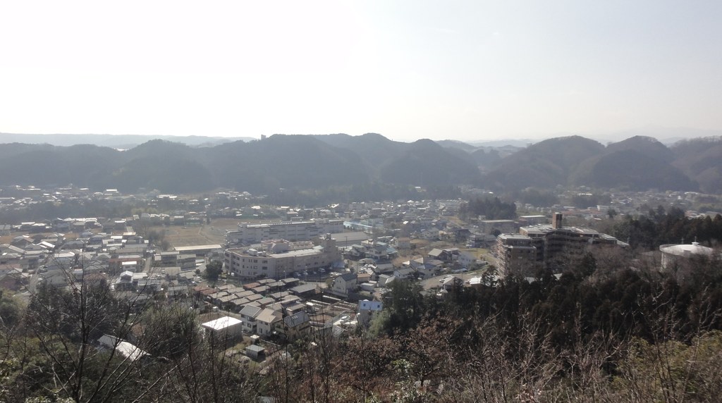 天覧山の上から見た飯能の街と、奥に連なる奥武蔵の山並み