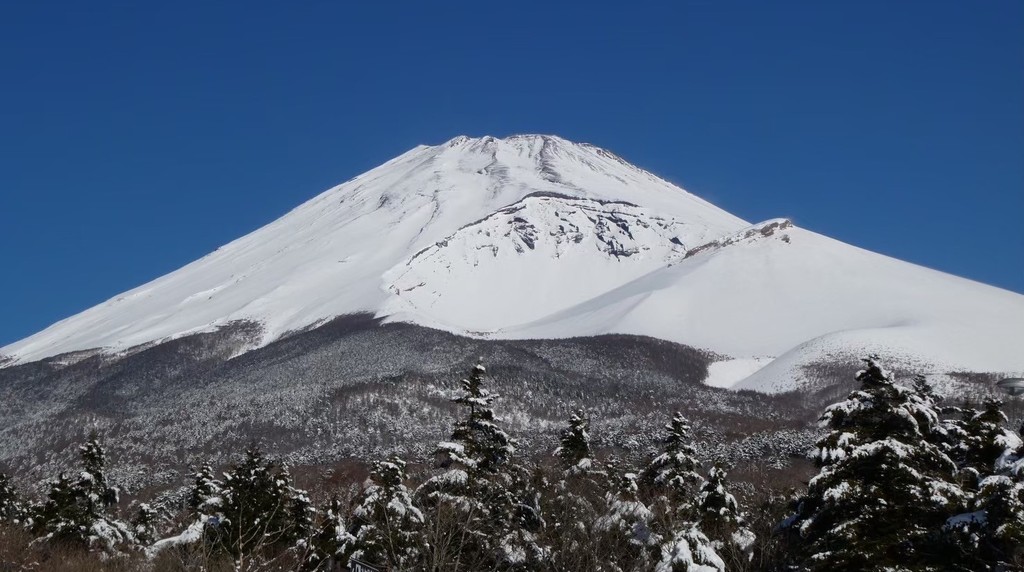 雪をかぶった富士山と雪の積もった木々